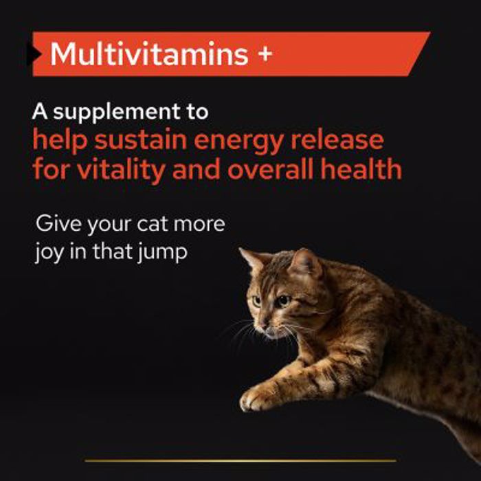 PRO PLAN Sumpliroma Diatrofis Cat Adult Multivitamin Supplement Skoni 60gr